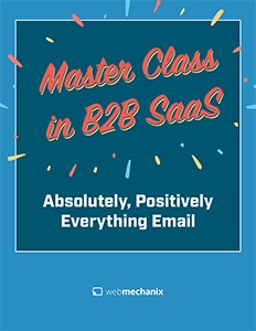 Cover of the Absolutely Positively Everything Email eBook