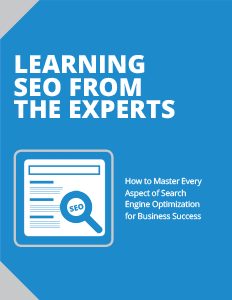Cover of Learning SEO from the Experts eBook