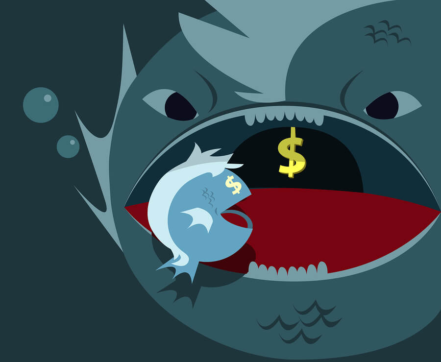Big fish eating smaller fish symbolizing Google antitrust inquiries.