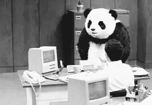 Google's Panda causing havoc in an office.