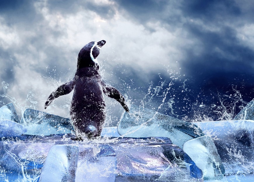 Google Penguin 2.0 Update: Is 2013 The End of SEO As We Know It?